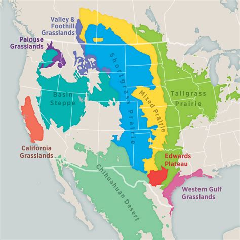 Prairie map. Setting. The Texas Blackland Prairies ecoregion covers an area of 50,300 km 2 (19,400 sq mi), consisting of a main belt of 43,000 km 2 (17,000 sq mi) and two islands of tallgrass prairie grasslands southeast of the main Blackland Prairie belt; both the main belt and the islands extend northeast–southwest.. The main belt consists of oaklands and savannas … 