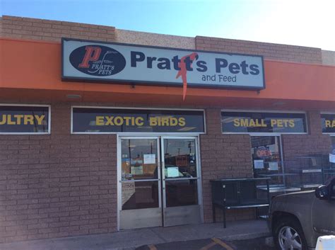 Pratts pet. Things To Know About Pratts pet. 