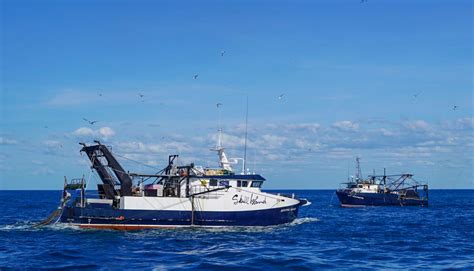 Prawn commercial fishing - fish.wa.gov.au