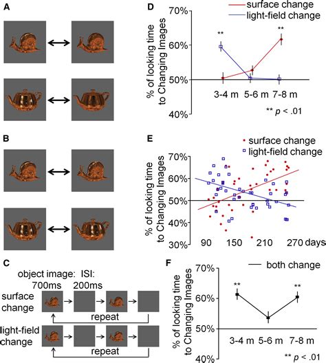 Pre-constancy Vision in Infants - ScienceDirect