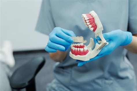 Pre-Dental Job Recommendations | Student Doctor Network. 20 Questio