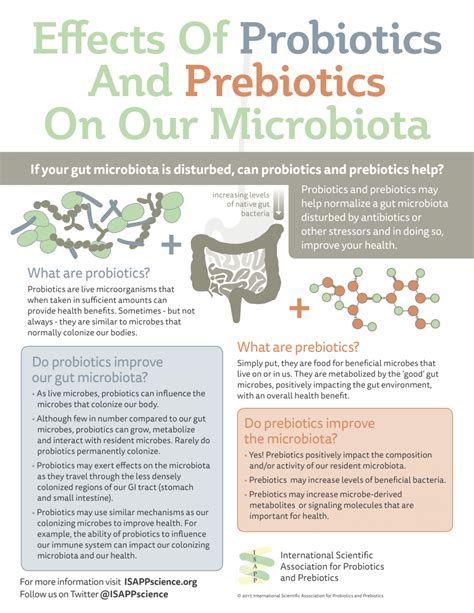 Prebiotics And Probiotics Science And Technology