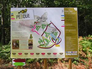 🔥 [SEX VIDEO] Prechede Leaked