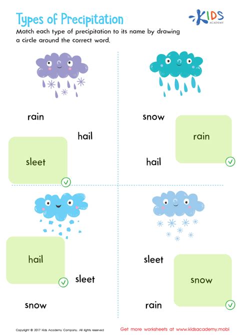 Precipitation Pearson Work Science Answers