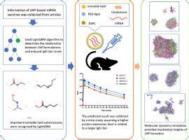 Prediction of lipid nanoparticles for mRNA vaccines by the machine …