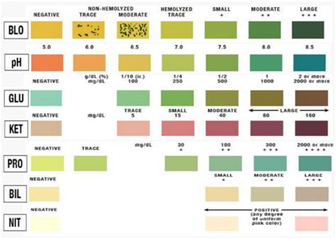 Predictive System Implementation to Improve the Accuracy of Urine Self