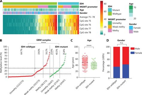 Predictive value of MGMT promoter methylation on the survival …