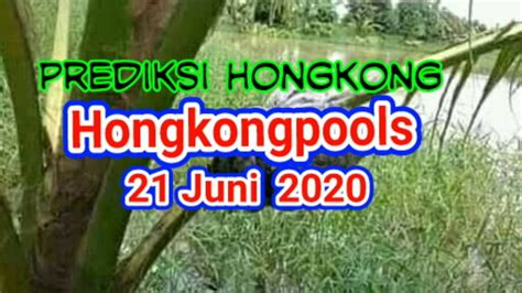 Prediksi hongkongpools.  It is a massive complex along the interstate that covers a dozen foo...