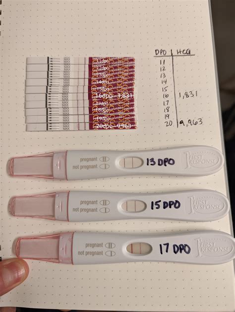line progression pregnancy test 2020 (no positive until 16