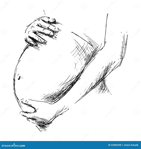 Pregnancy Belly Drawing