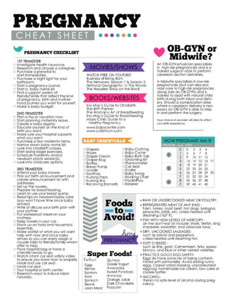 Pregnancy Cheat Sheet Checklist Printable for