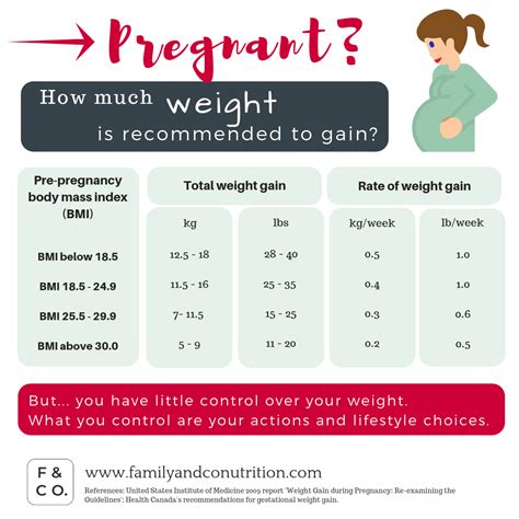 Pregnancy Weight Gain - How Much Weight Is Normal? BellyBelly