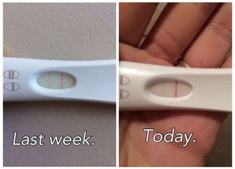 Pregnancy test getting lighter. A plus sign (+) on an at-home pregnancy test indicates a pregnant result, whereas a minus sign (-) indicates a not pregnant result. These results appear in a clear window on the te... 