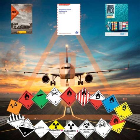 Preguntas y respuestas sobre mercancías peligrosas aviación civil. - Trigonometry student solutions manual cynthia young.