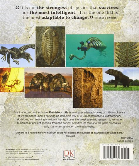 Read Prehistoric Life The Definitive Visual History Of Life On Earth By Dk Publishing