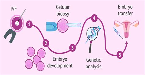 Preimplantation genetic testing in patients with genetic