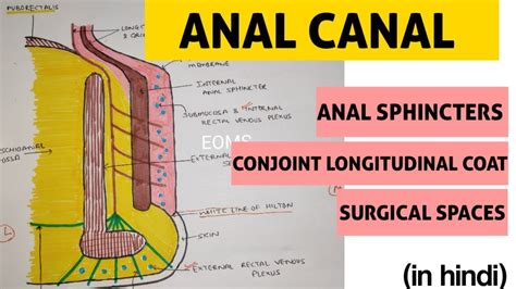 Premier anal. Things To Know About Premier anal. 