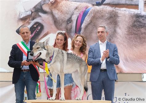 Premio Internazionale Fedeltà del Cane AVT San Rocco