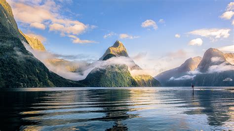 Premium Milford Sound Small Group Tour, Cruise & Picnic …