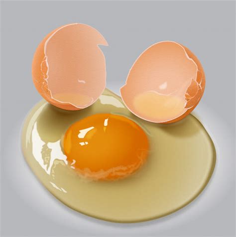 Premium Tutorial Egg Yolk Illustrator Tutorials & Tips Food