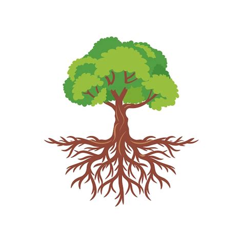 Premium Vector A tree with a root that has the word tree on it