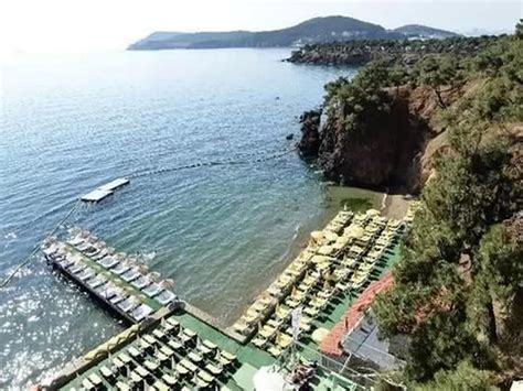 codini.rgarabwor.edu.pl. 