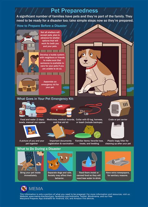 Prepping your pets for severe weather or wildfires