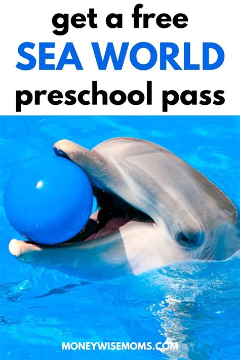 Preschool pass seaworld. ORLANDO, Fla. – SeaWorld and Aquatica Orlando officials announced they are offering free year-round admission for Florida preschoolers with the 2023 Preschool Card. Starting Jan. 3, both theme ... 
