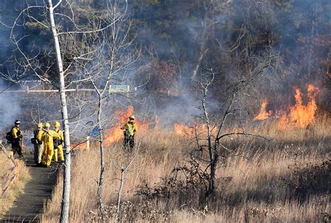 Prescribed burn scheduled Friday for Albany Pine Bush - Times Union