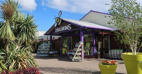 Present shopping - Haskins Garden Centre Ferndown - Tripadvisor