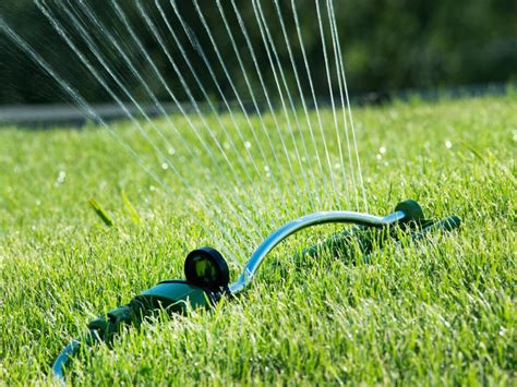 Preserve Your Lawn with Wise Watering Tips