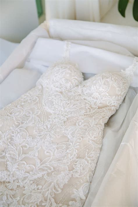 Preserve wedding dress. At Connoisseurs we understand the importance and sentiment behind your precious wedding dress. To preserve and protect your most cherished dress it is important that you have it professionally cleaned by a specialist and packaged for safe storing. Our family have been cleaning and preserving wedding dresses since 1955. With our specialist ... 