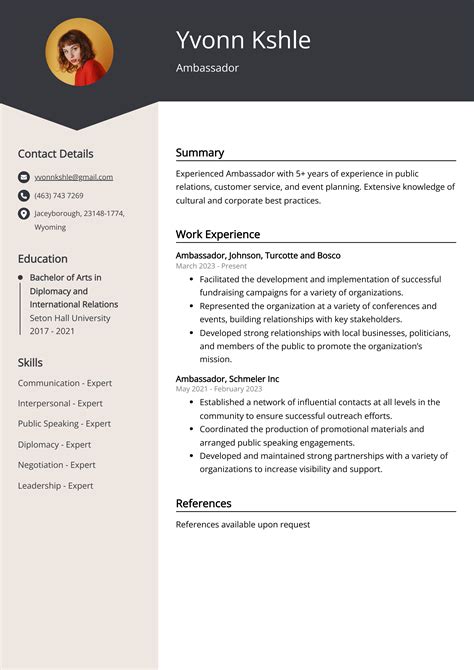 President Of Ambassador Program Resume Example