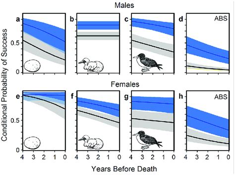 Presumed breeding near So