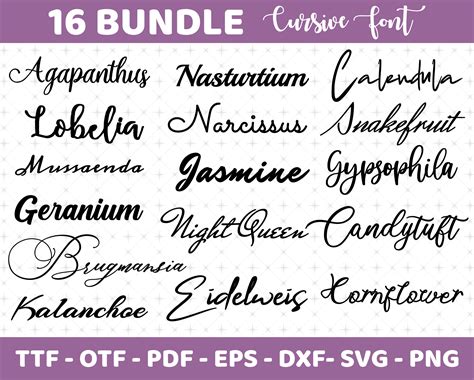 Pretty Cursive Fonts Names
