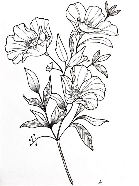 Pretty Flowers Drawing