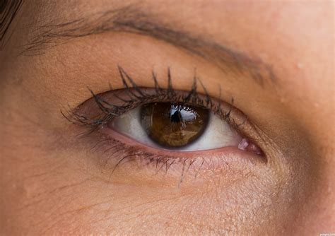 Pretty brown eyes. Things To Know About Pretty brown eyes. 