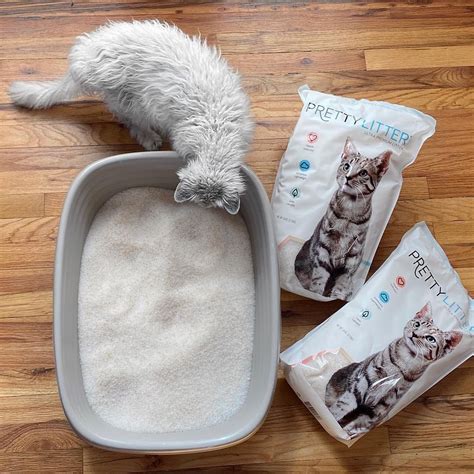 Pretty kitty litter. What do the colors indicate? Is PrettyLitter safe for my cat? Is one bag of litter enough for 2 or more cats? How long does litter last for 2 or more cats? THE PRETTYLITTER DIFFERENCE. … 