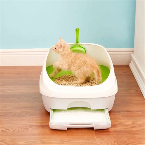 Pretty litter box. Litter boxes come in many materials, but most are plastic. Plastic and wood-based litter boxes are more porous and can absorb bacteria from urine and cat feces. So even though you may regularly clean out and wash your cat’s litter box, it's never fully clean. A stainless steel litter box won’t be porous and will be easier to wash thoroughly ... 