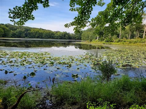 Pretty spot - Teatown Lake Reservation, Ossining Traveller …