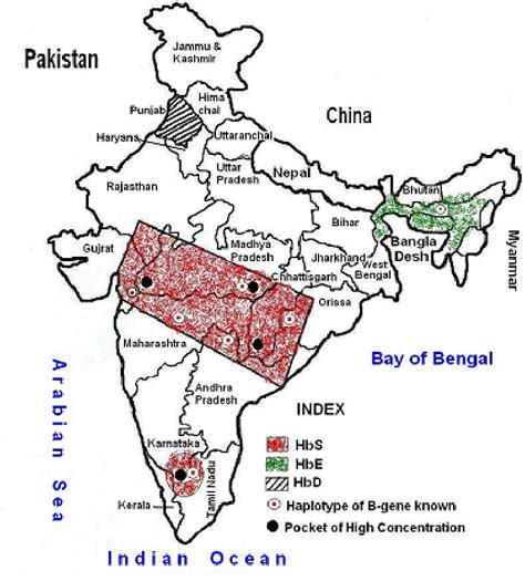 Prevalence of Sickle Cell Anemia In Eastern India