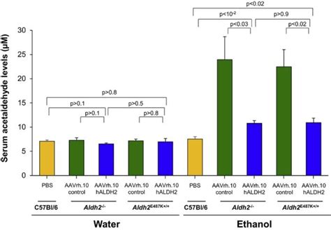 Preventing Asian Flush with Gene Therapy FTLOScience