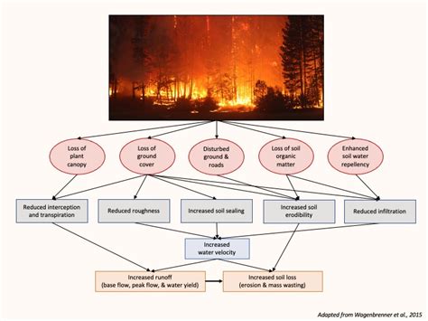 Preventing and Mitigating the Effects of Fire and …