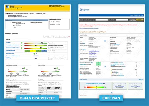 Preview of “Experian Printable Full Report” Credit Bureau Credit