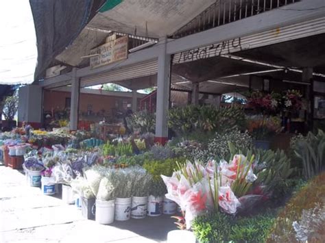 Price Flores  Guadalajara