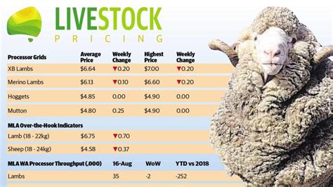 Price Of Lamb Per Pound