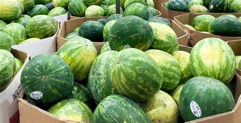 Price Of Whole Watermelon
