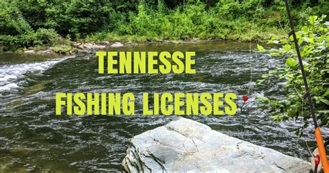 Price of tennessee fishing license. There are two main ways to go fishing in Tennessee – from shore or from a boat. There are a few spots where you can go kayak fishing, but traditional light tackle and fly fishing are predominant. ... Anyone who’s over the age of 13 needs to have a valid fishing license, even if they’re just helping, and not fishing themselves. 