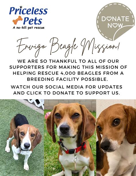 Priceless pets rescue. CALLING on All ACTIVE Resbakers and page promoters. Mariam Chloe vlogs Kiplangat Bernie Priceless Pet Rescue. CALLING on All ACTIVE Resbakers and page promoters 