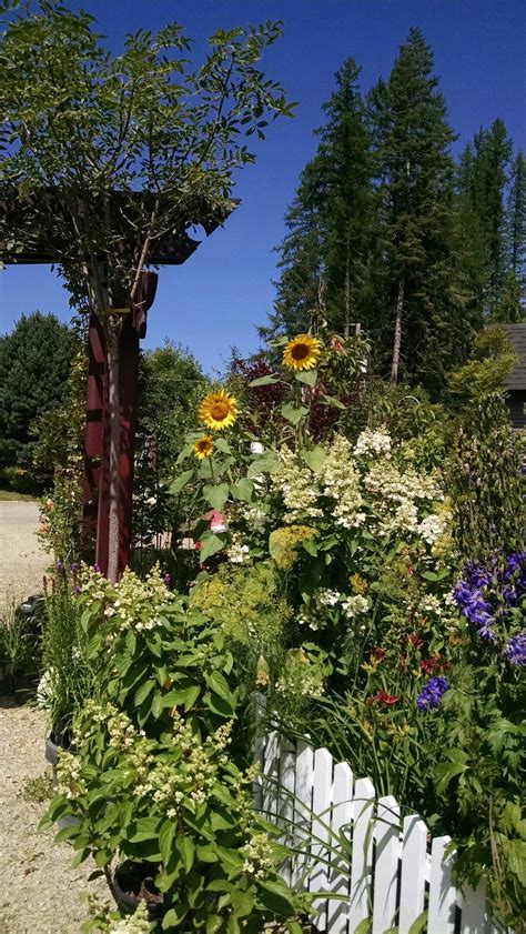 Set on five acres south of the Priest Lake Golf Course on the west side of the lake. The Priest Lake Memory Gardens include a Welcome Shelter, trails with benches, alcoves and memory screens, and a small pond. The Priest Lake Memory Gardens are open to the public all year, during daylight hours. For additional information about use of the .... 
